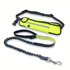 Running Handsfree Bungee Dog Leash