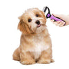 Pet Dematting Brush  Hair Knot Remover