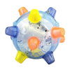 Pet Toy Jumping Activation Ball