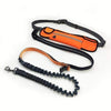 Running Handsfree Bungee Dog Leash